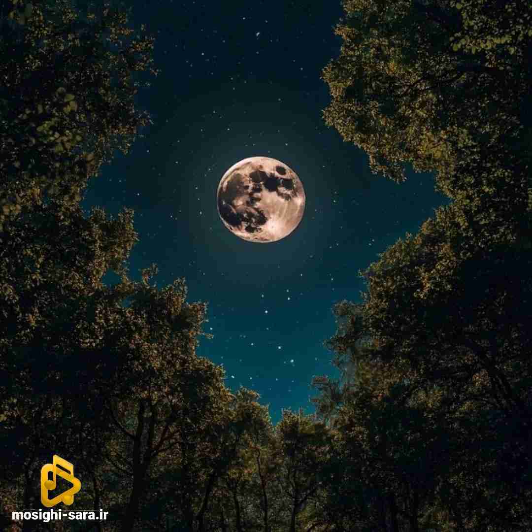  اگه قلبمو شکستی بهم یه قول بده