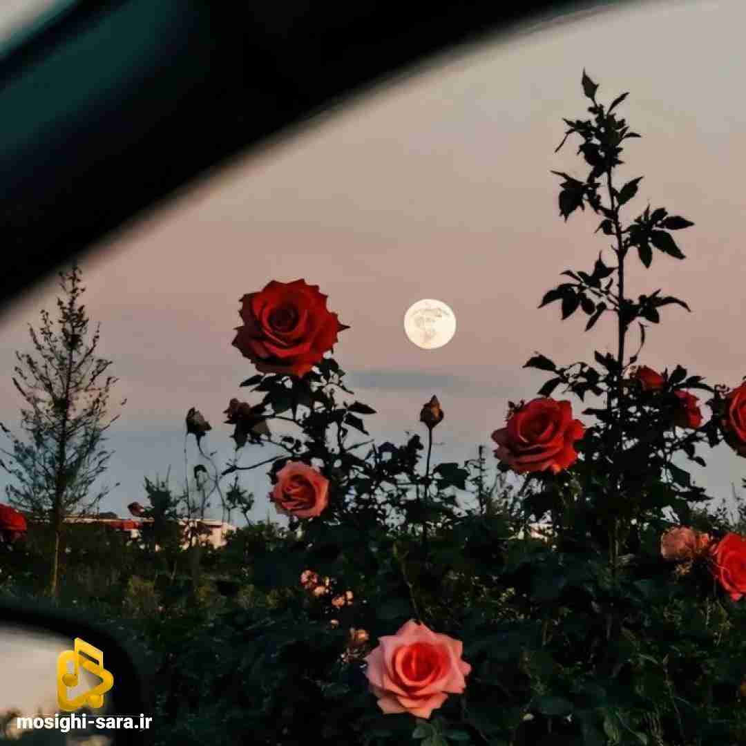  نبودم شده عادی اینو نمیخواستی مگه