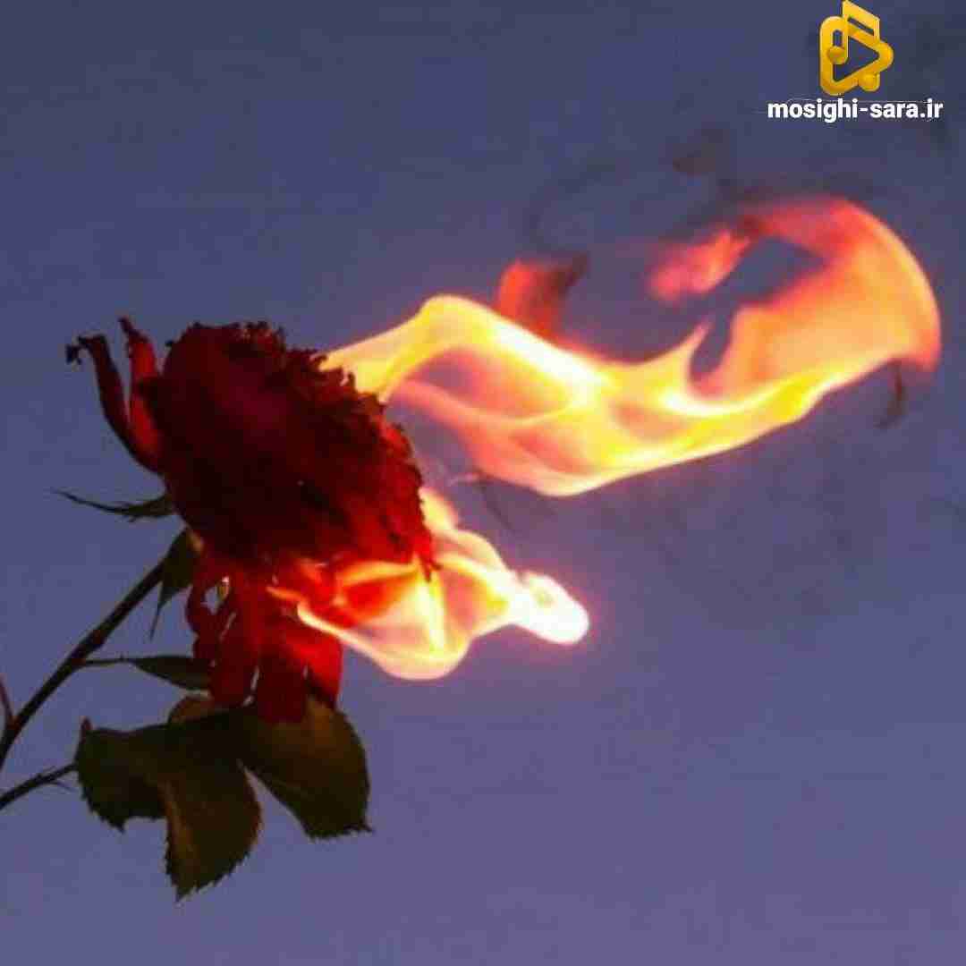  وقتی نیازت داشتمت تو کجا بودی