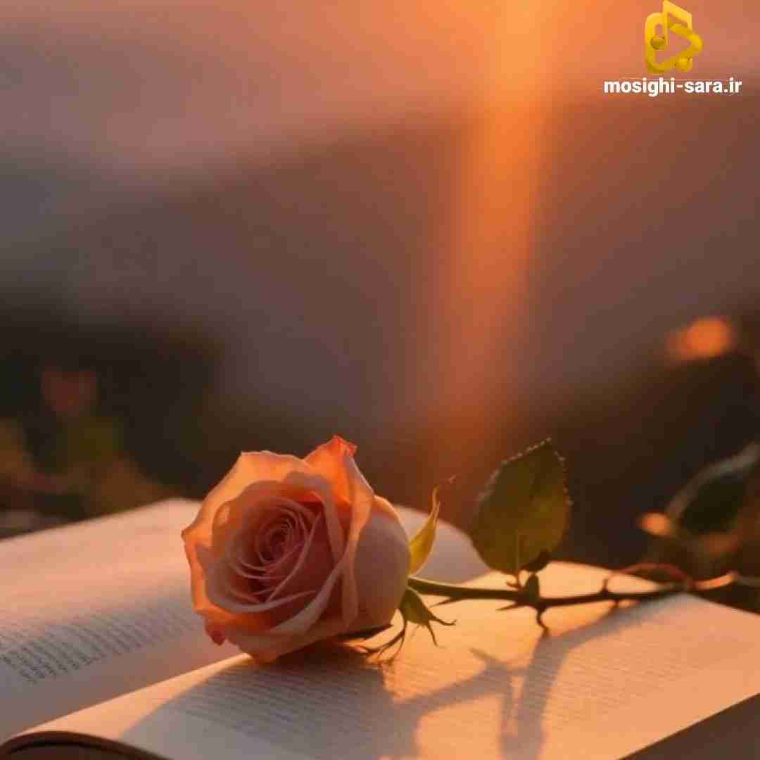  از چشمم نمیوفتی بودی آرومم میکردی