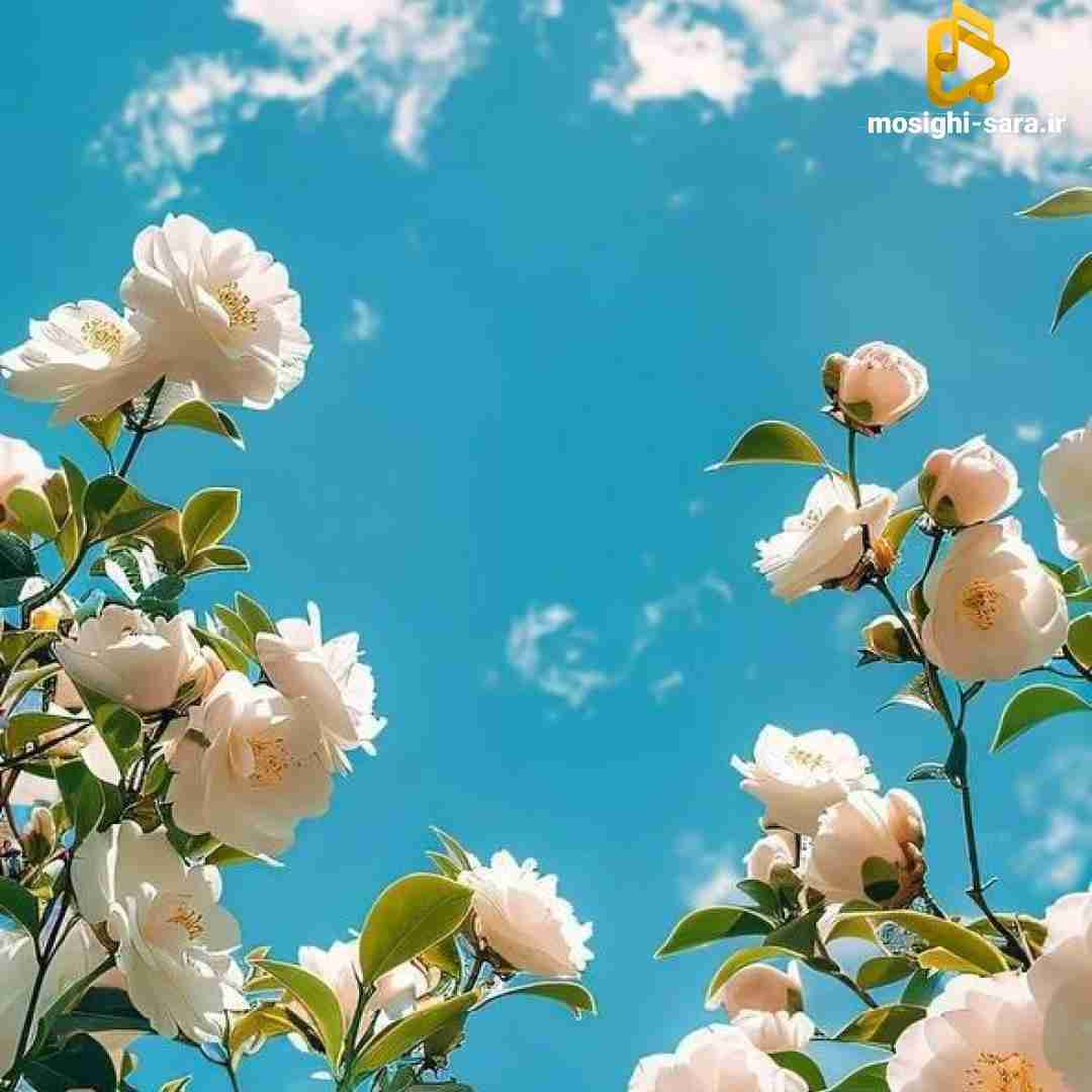 دانلود ریمیکس تو بارون که رفتی شبم زیر و رو شد