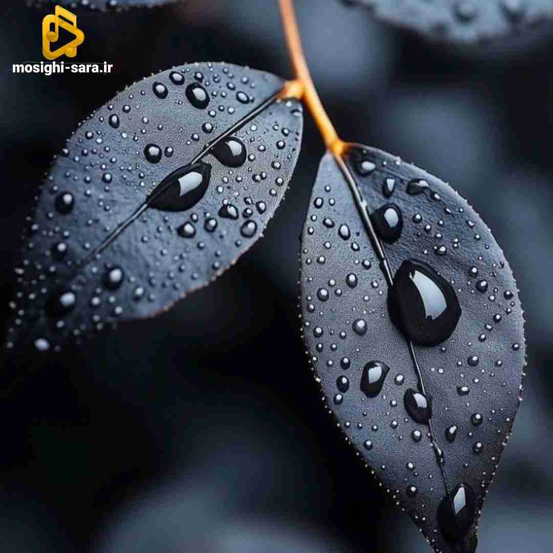 دانلود ریمیکس به کارم نیومد هیچ مسکنی احساساتمو