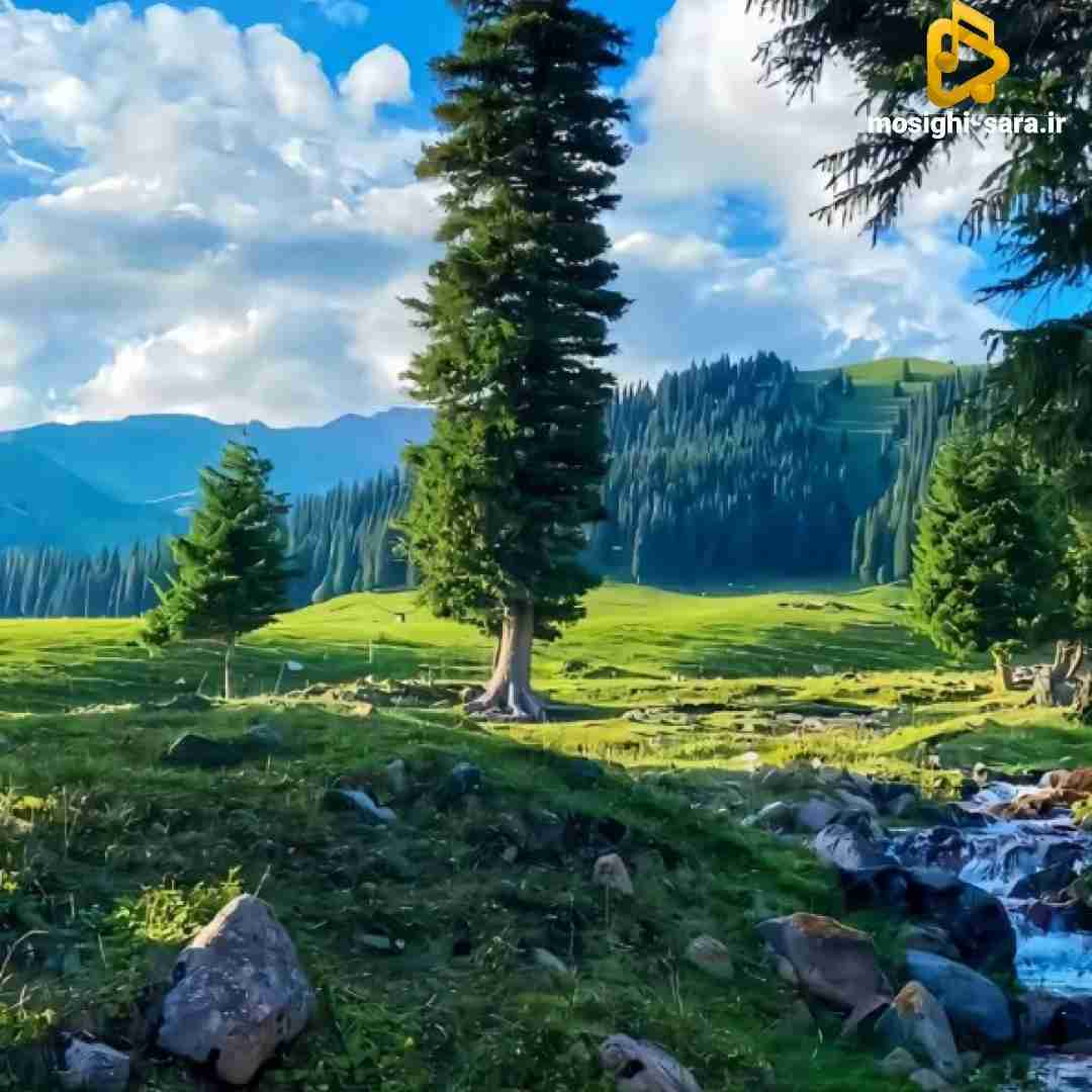  الان خوبی بدی چیشدی چطوری کجاییا