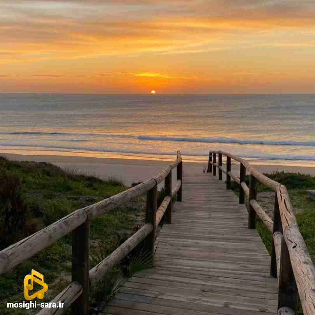 دانلود آهنگ بایدم بندازی پایین سرتو شرمنده شی پای تو