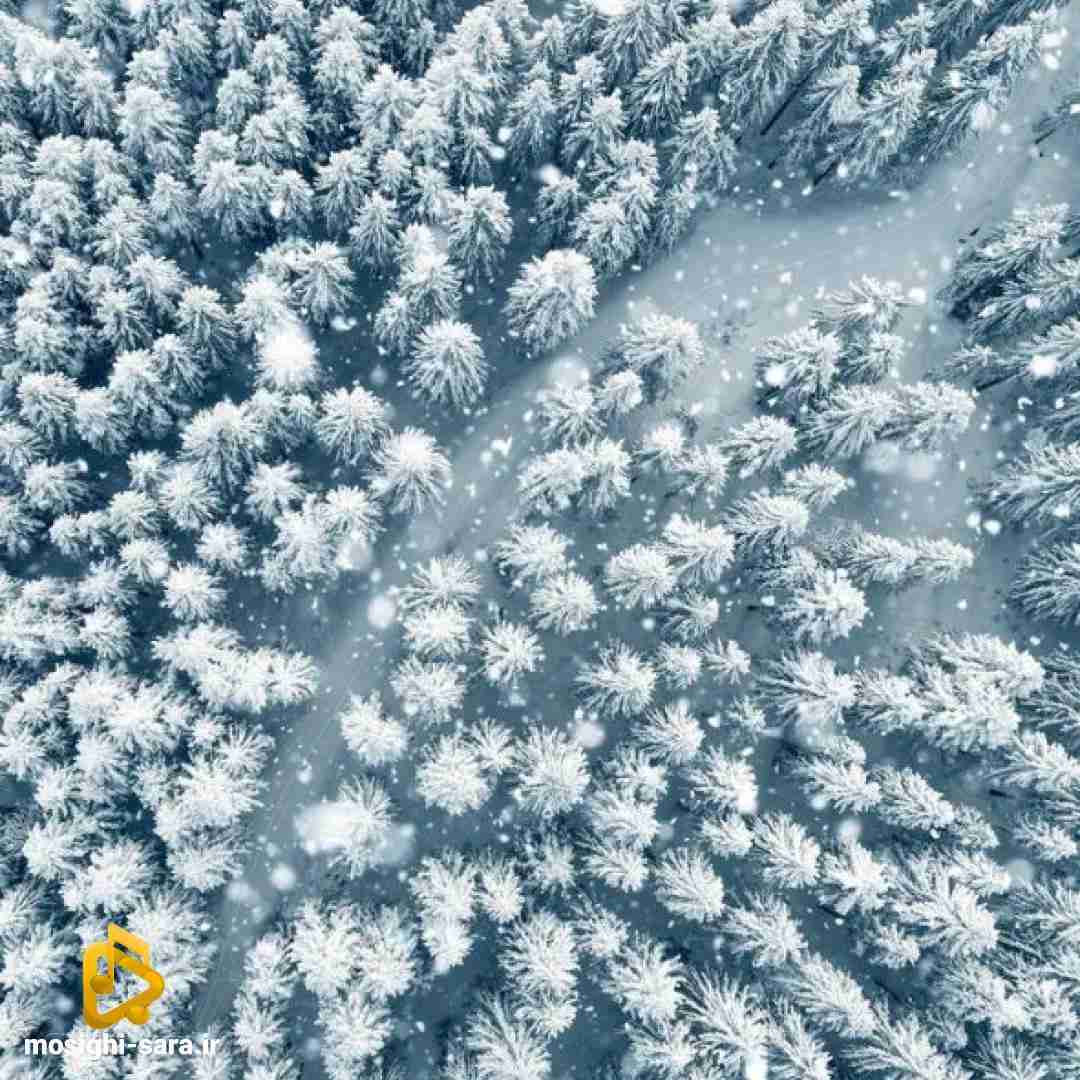  زیر زنجیر دیو سیاه زیر نفسای سینه