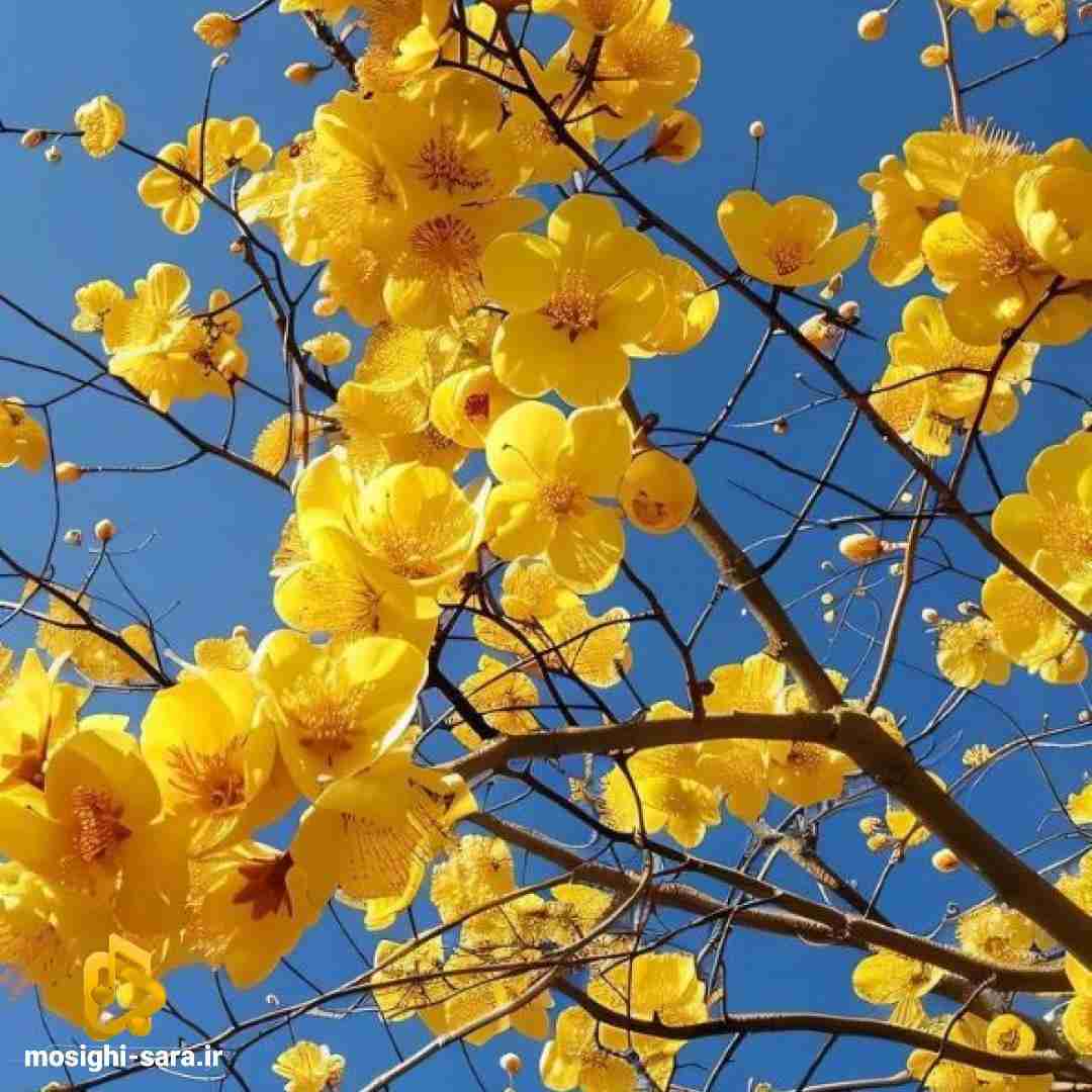 بین ما نگو فاصله س بیبی جاری میشه