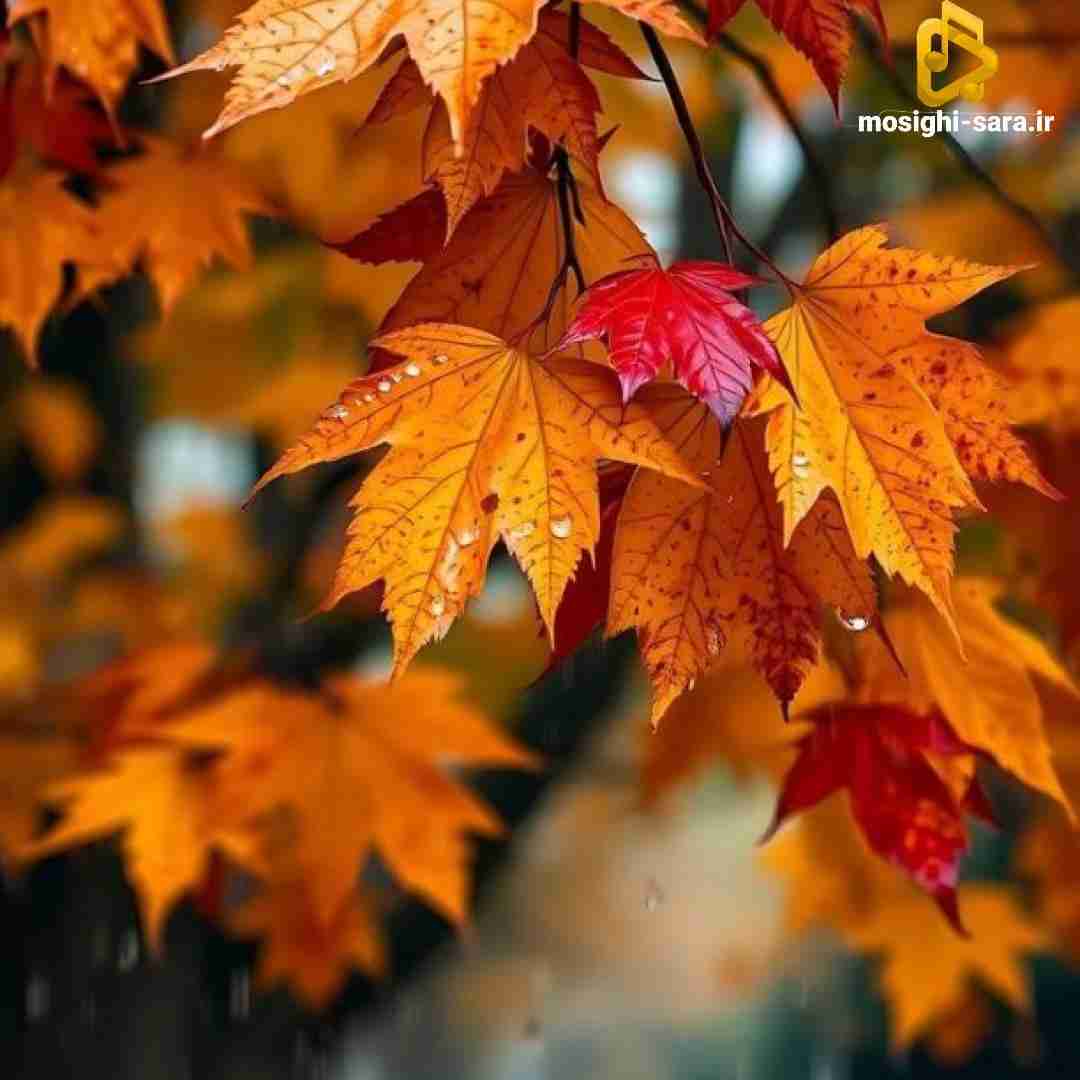  همیشه مال من بودی الان چی دیونه