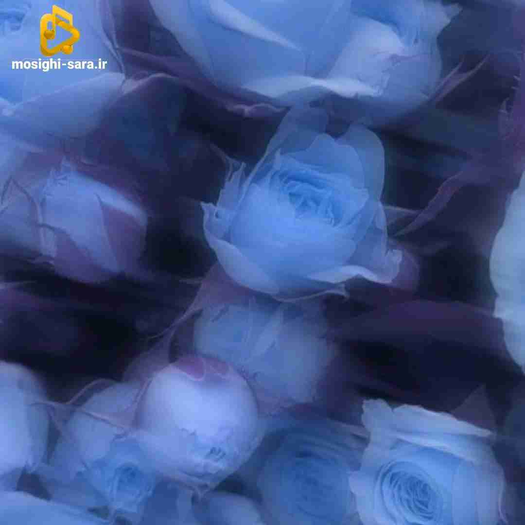  نسخ یه نفرم که منو درکم کنه نه با دیدن