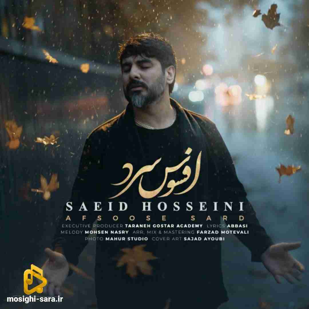 سعید حسینی افسوس سرد