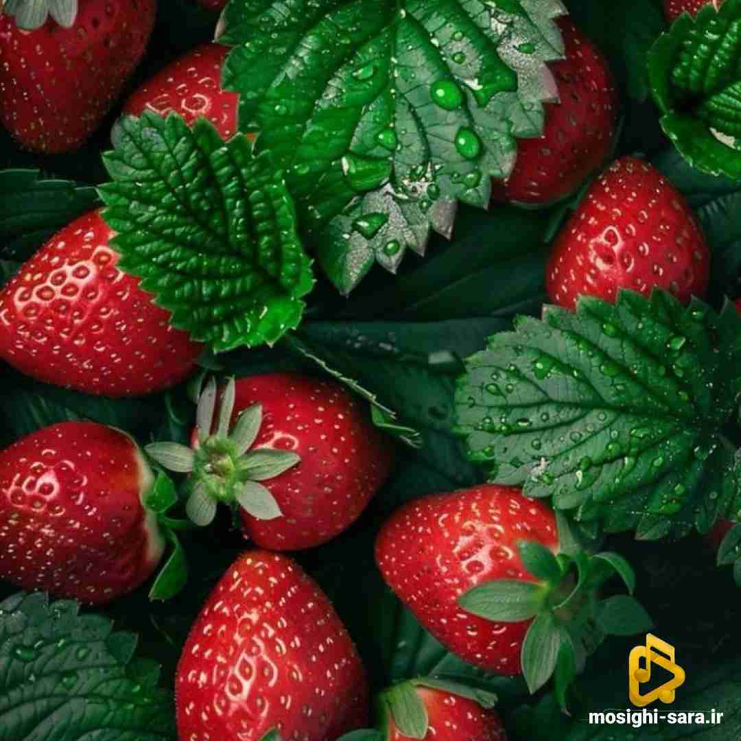 دانلود آهنگ مگه میشه آخه اندازه دو نفر جون داشت