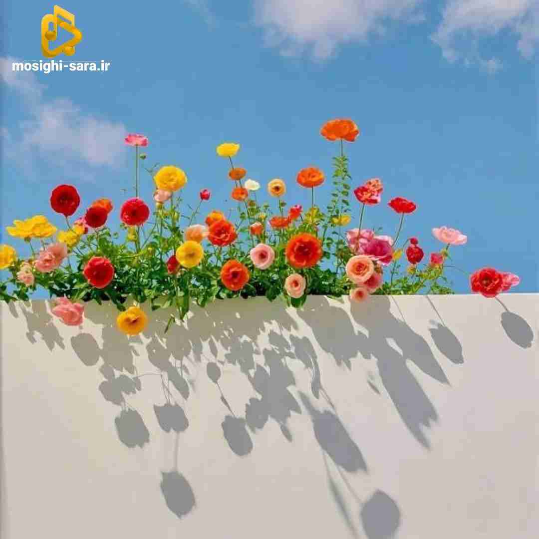 دانلود آهنگ بو سیگار پیچیده توی اتاقم کجایی با صدای دختر