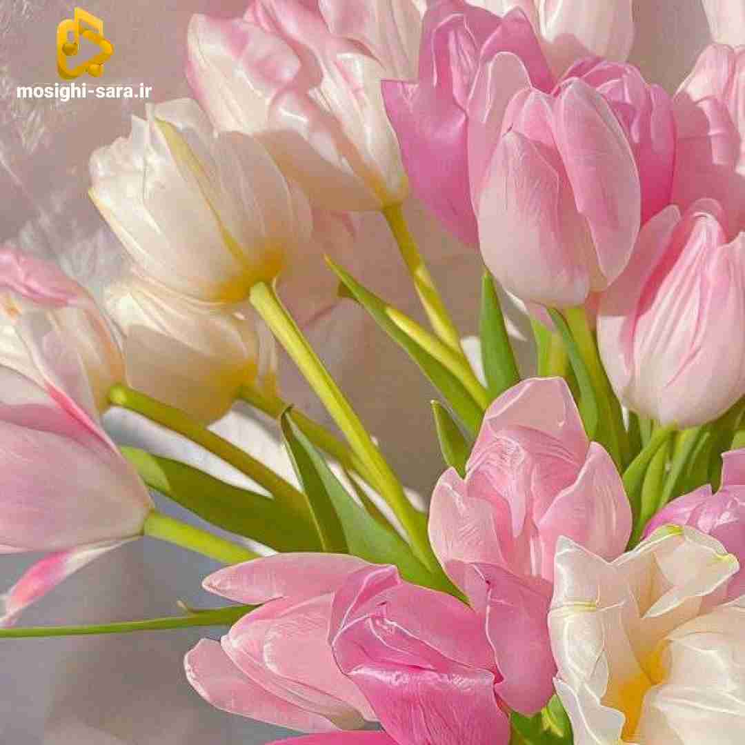  هر عشقی میمیرد خاموشی میگیرد