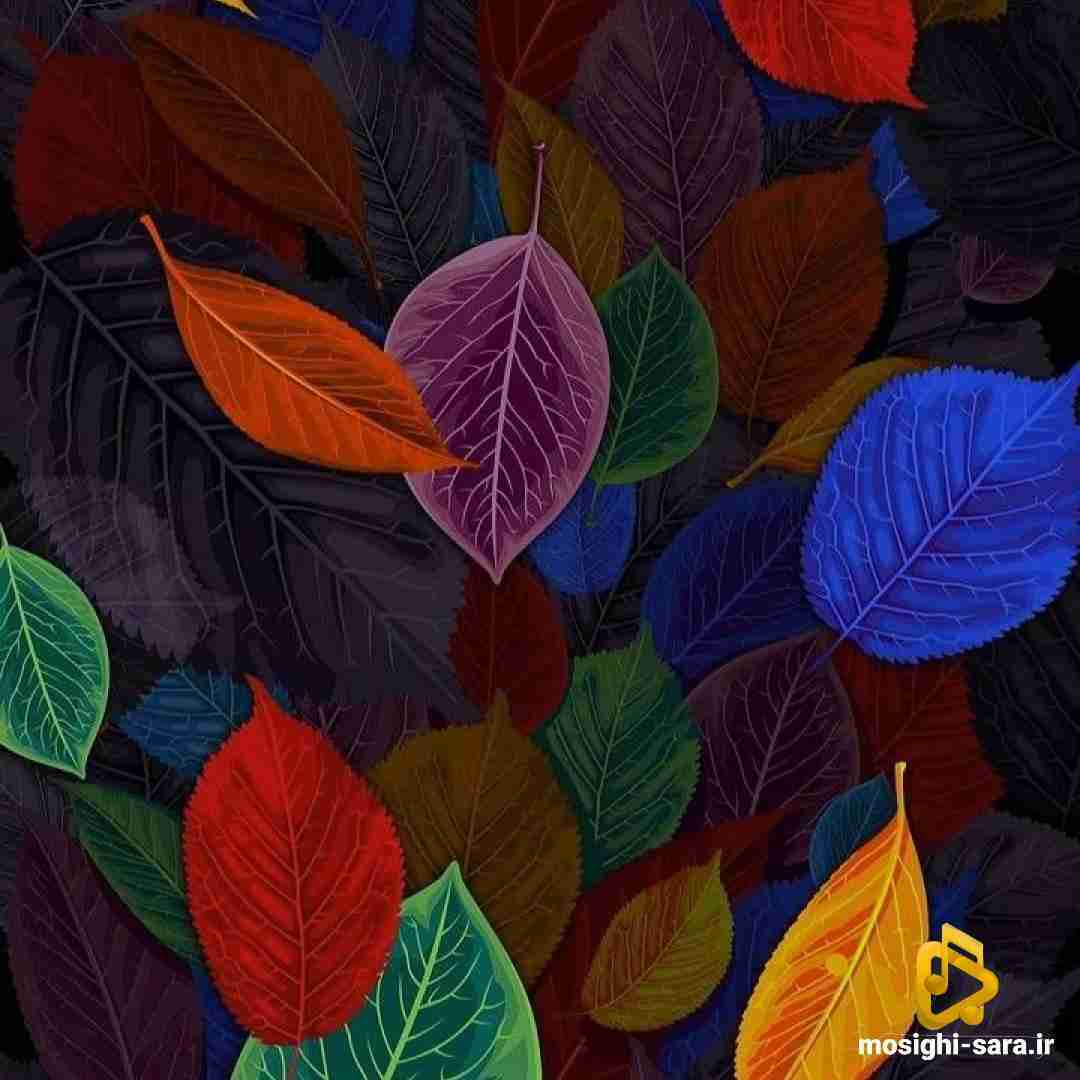  بعضی از شبا که میگیره دلم میبینم عکسای