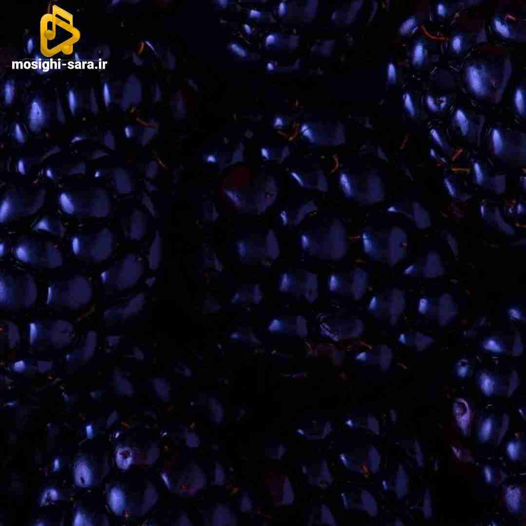  نمیخواستی منو بفهمی اصلا بیا بچرخ