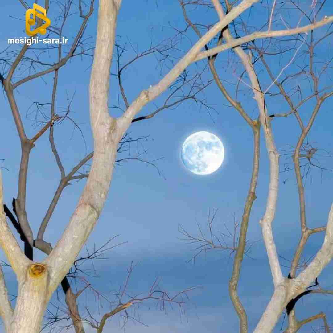  نمیام بیرون هر شب از فکرت میزنم