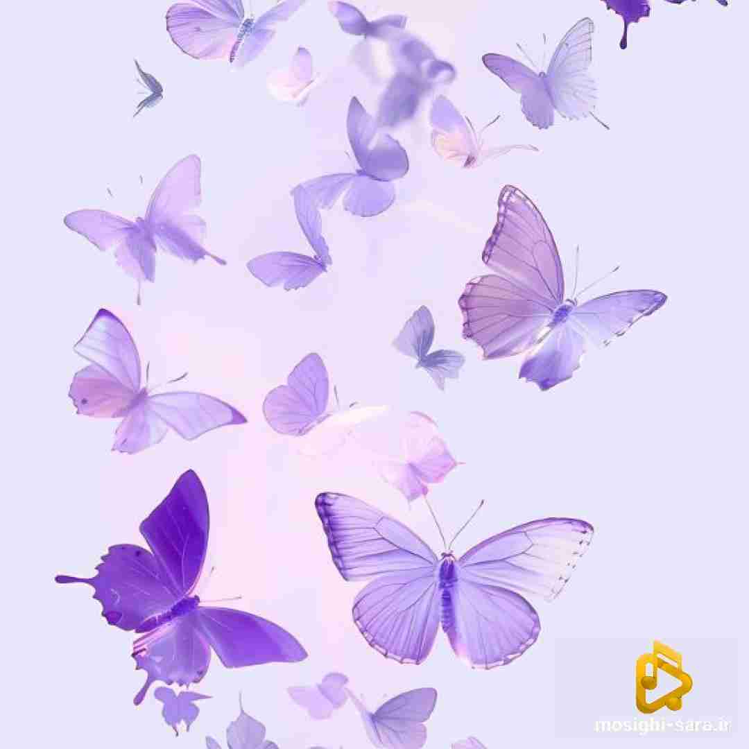  بارون زده خیس شده رولم مهم نیس