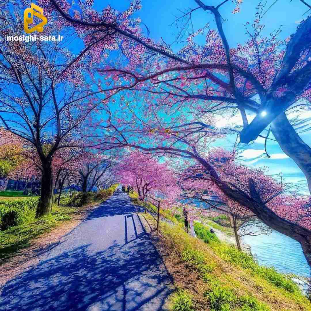 دانلود آهنگ بابا از وقتی یادمه بودی یه بند سر کار