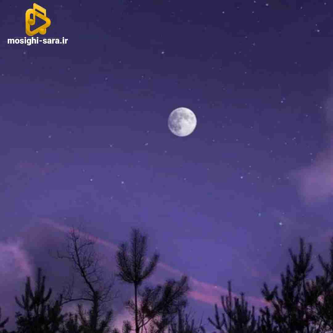نمیخواستم اینجوری بریو بعدش اون پیامارو