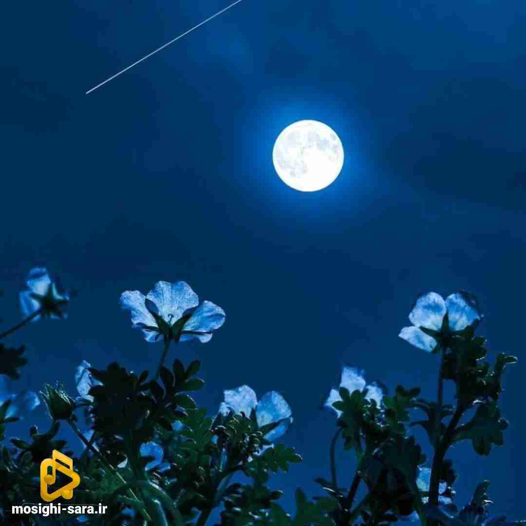 امیر خوشگل ما 207 مشکی داره کلاس بالا