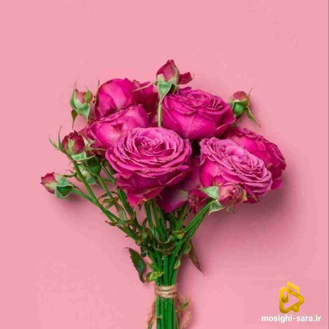  من هنوز تو گوشیم عکساتو دارم هر شب