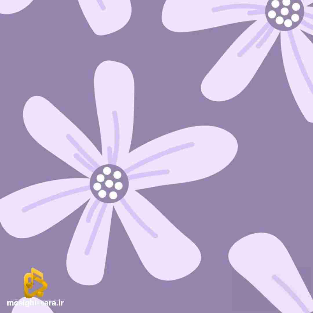میمونیم من و تو تا تهش مهم نیست