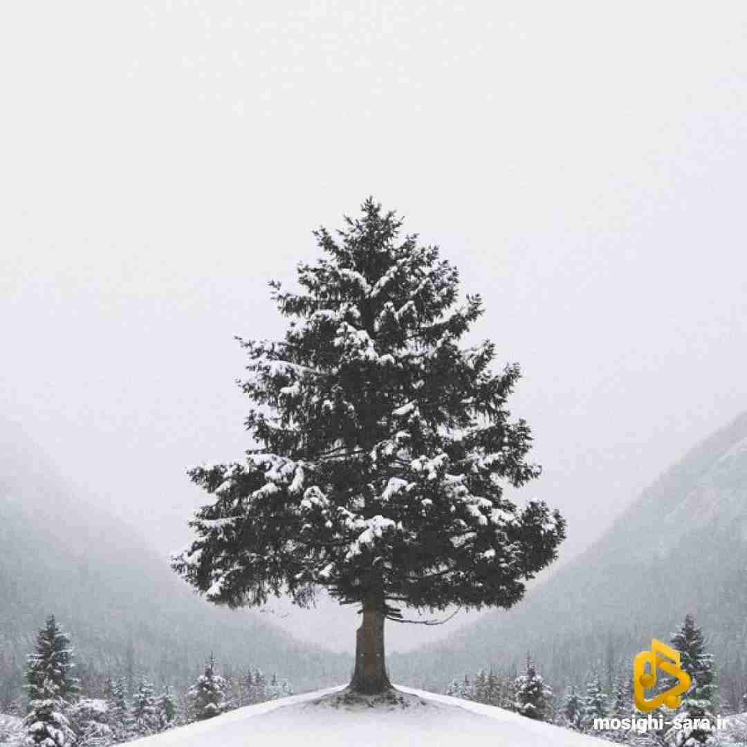  نمیدونم شایدم نمیدونی که سر هر چی
