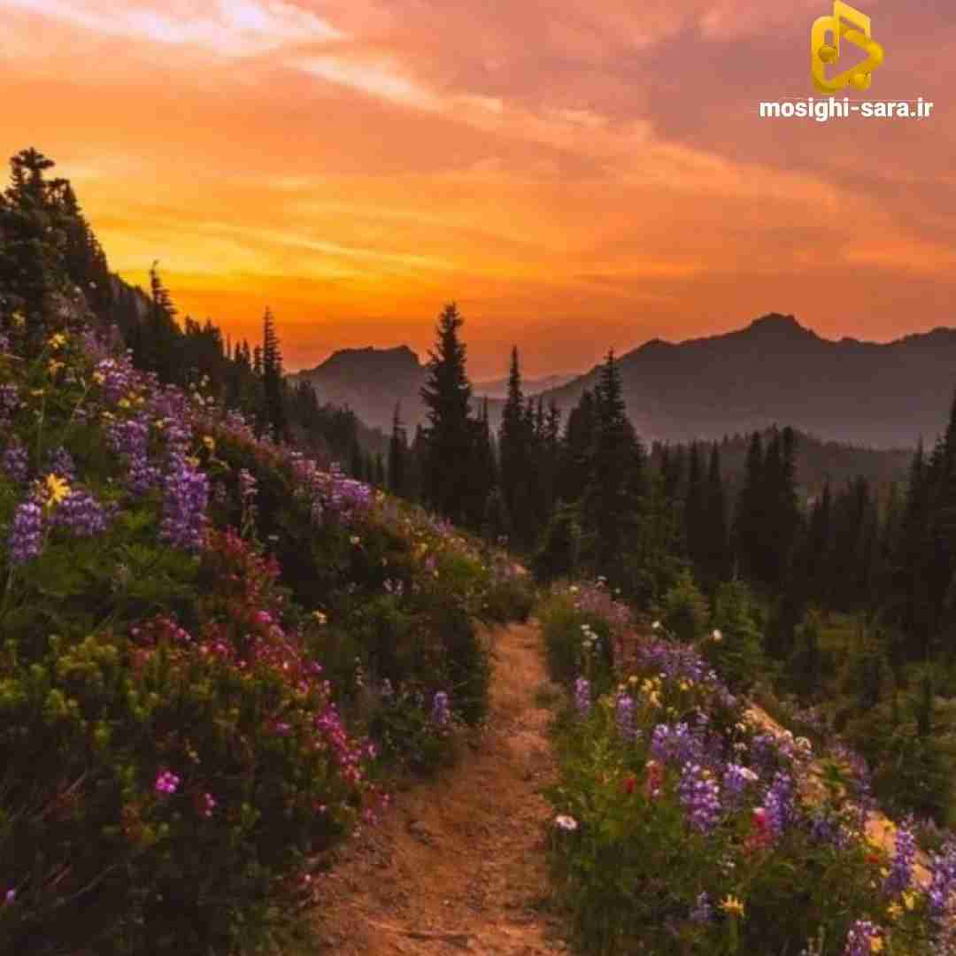 کی بود بهم میگفت بهم بال پروازتم