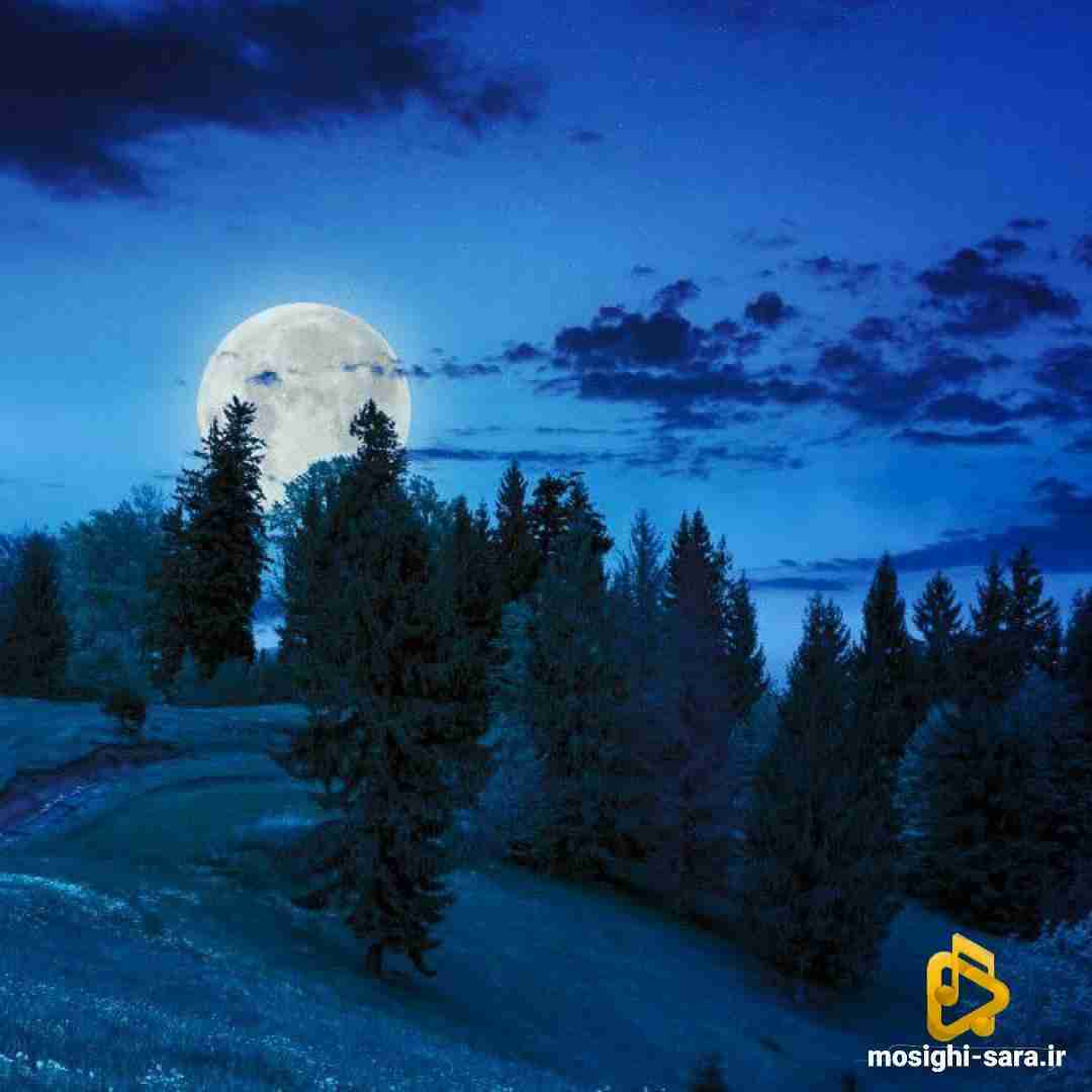 دانلود آهنگ تو از درون سینم ام قلب مرا ربودی با صدای دختر