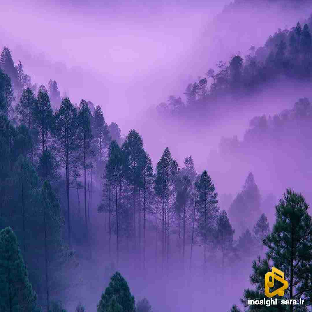 چقدر ساختم چقدر سوختم به پای تو با صدای دختر