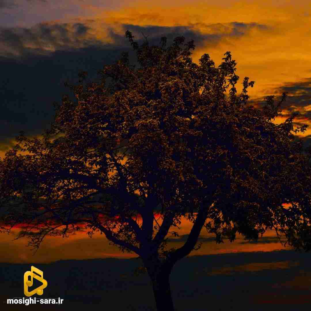 پره درد و حرفیم ما از نسل دردیم دیگه