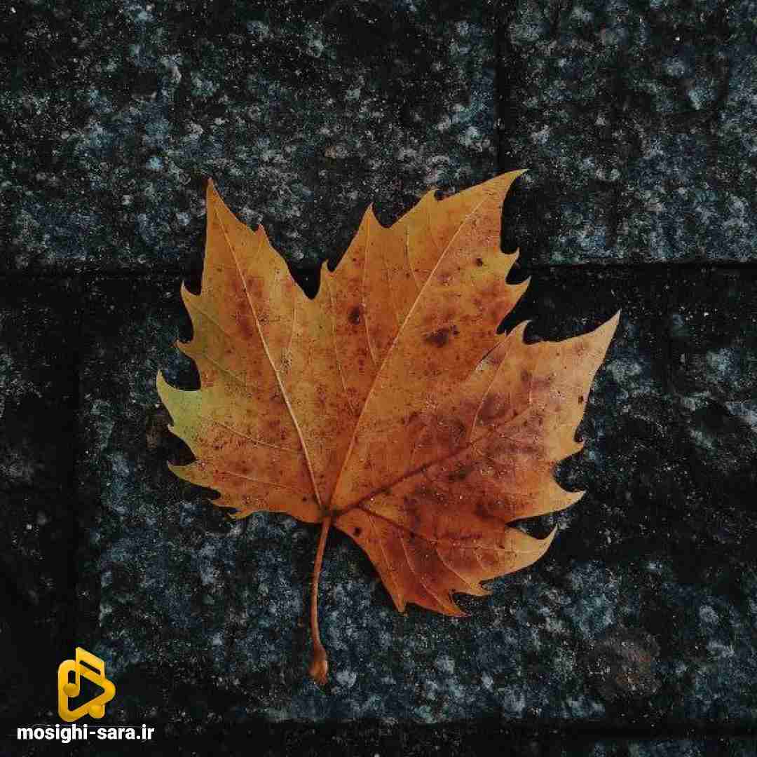 یه روز دیدم گم شد جونم دور افتادم