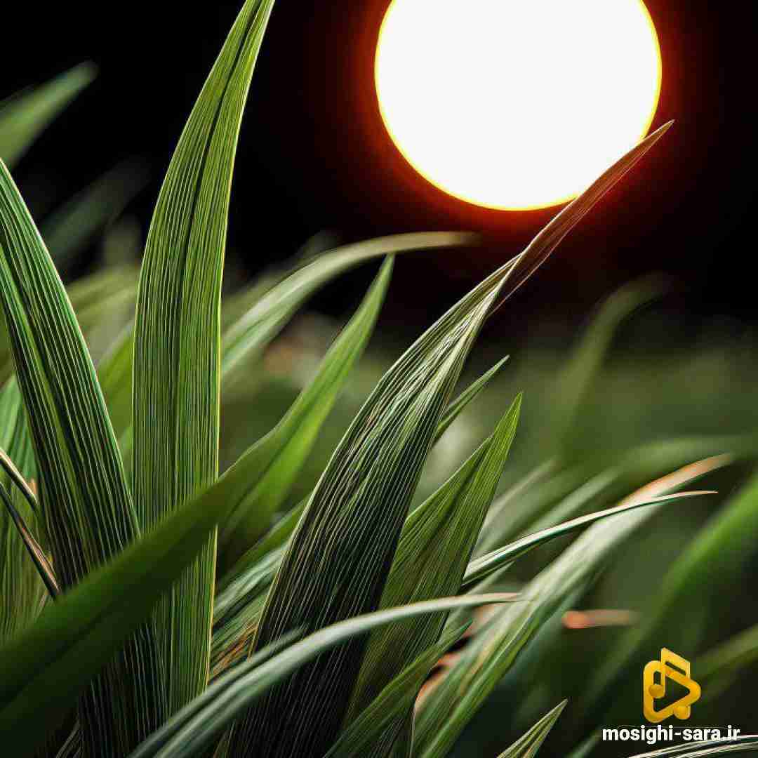  یه شب بازم بیا اینجا که بی تو پوچ