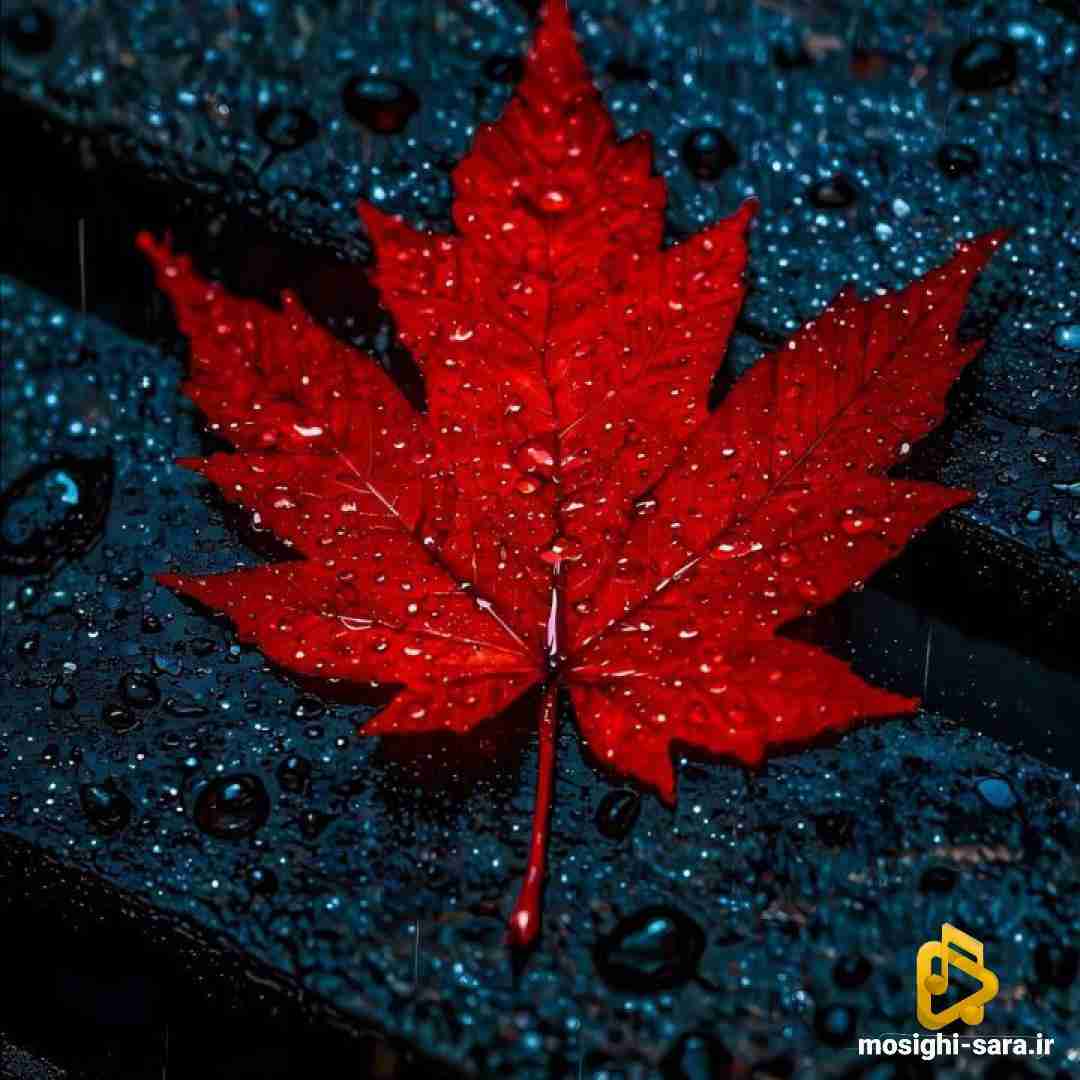  یه کاری کن دیگه خدا به دامون برس