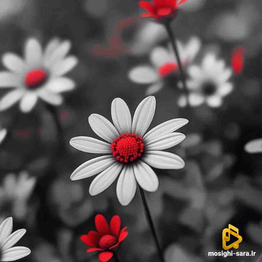 عکساتو دیدم بودی بیبی معصوم چشمات