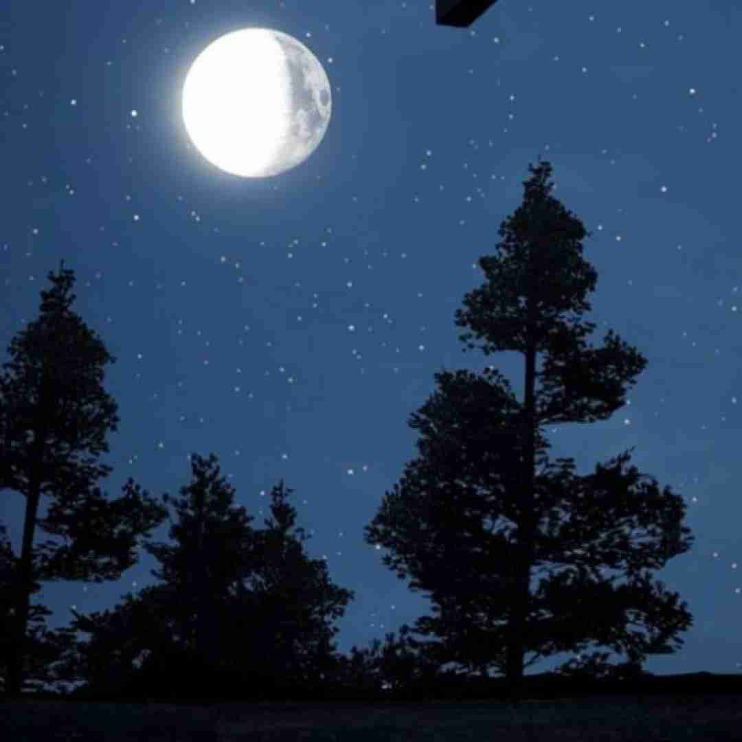  نبودم بگو به کیا حواست بود اصلا