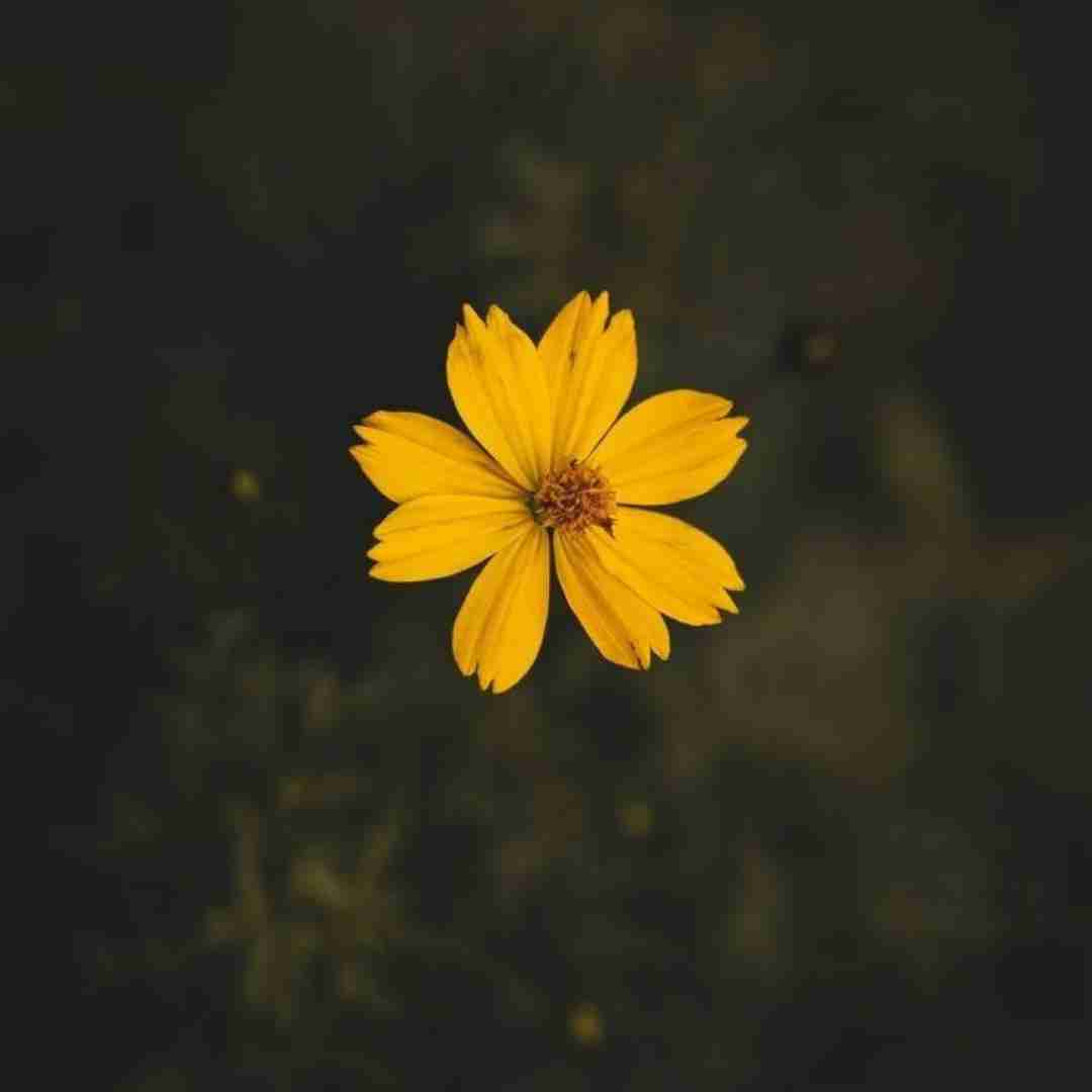 دانلود آهنگ اصلا الان هر کاری میخوای کن خستم