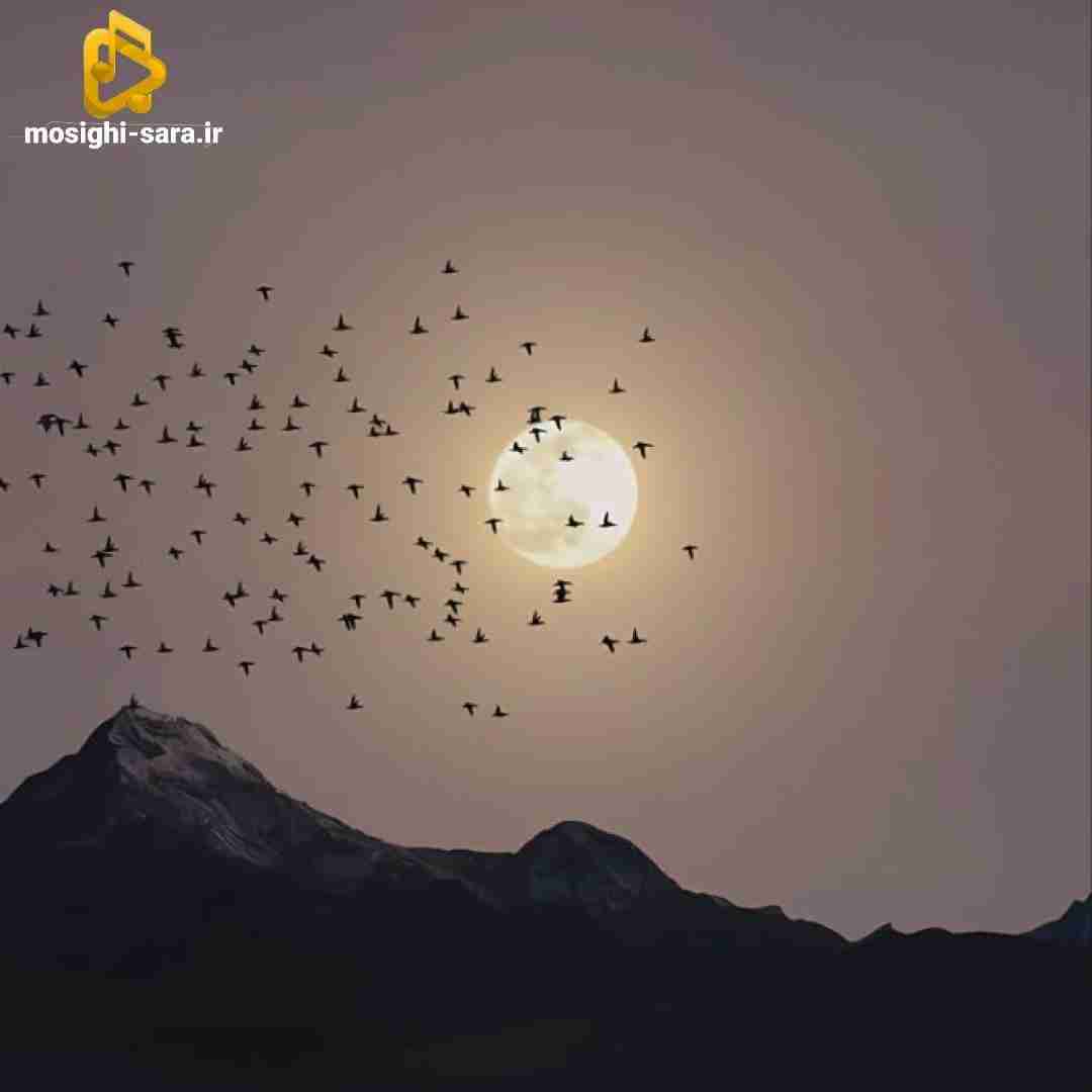رفیقمی خیلی میخوامت تو بودی