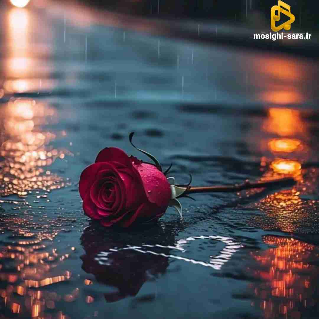 بم زل نزن بد پاچیدم از همه گلا پژمرده