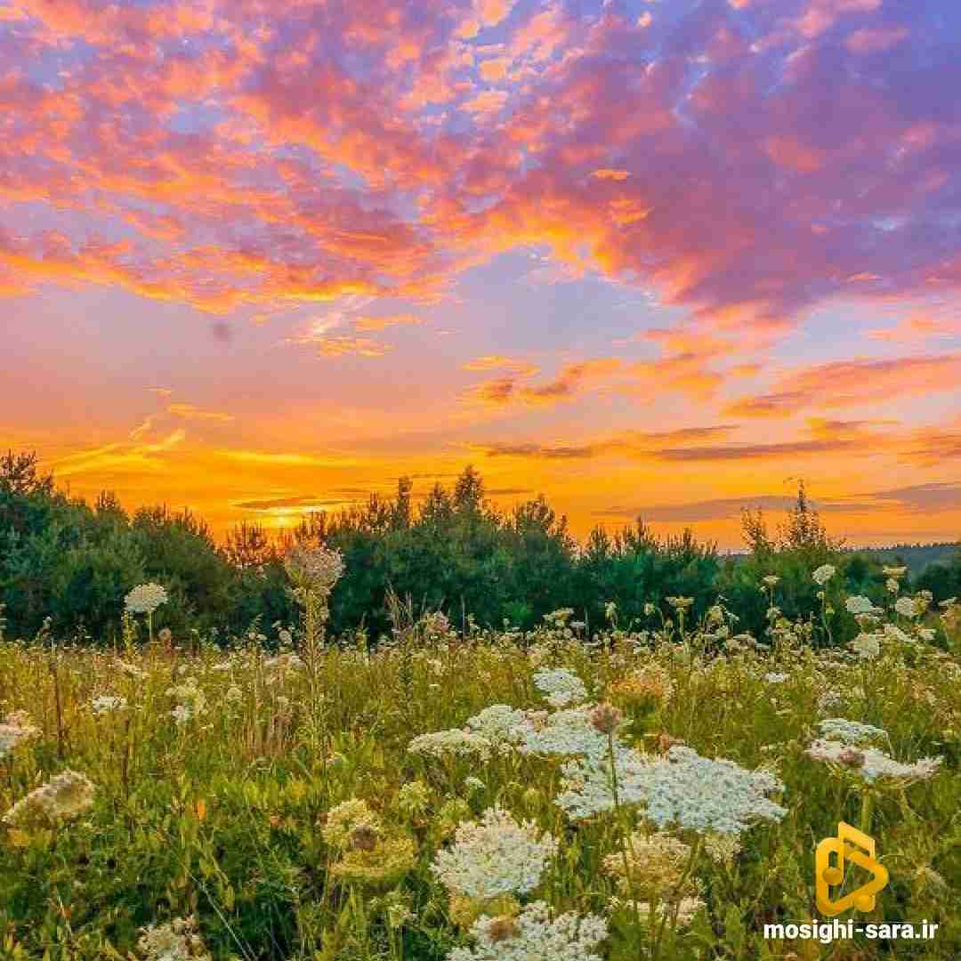 دانلود آهنگ سرزمین از فاطمه مهلبان