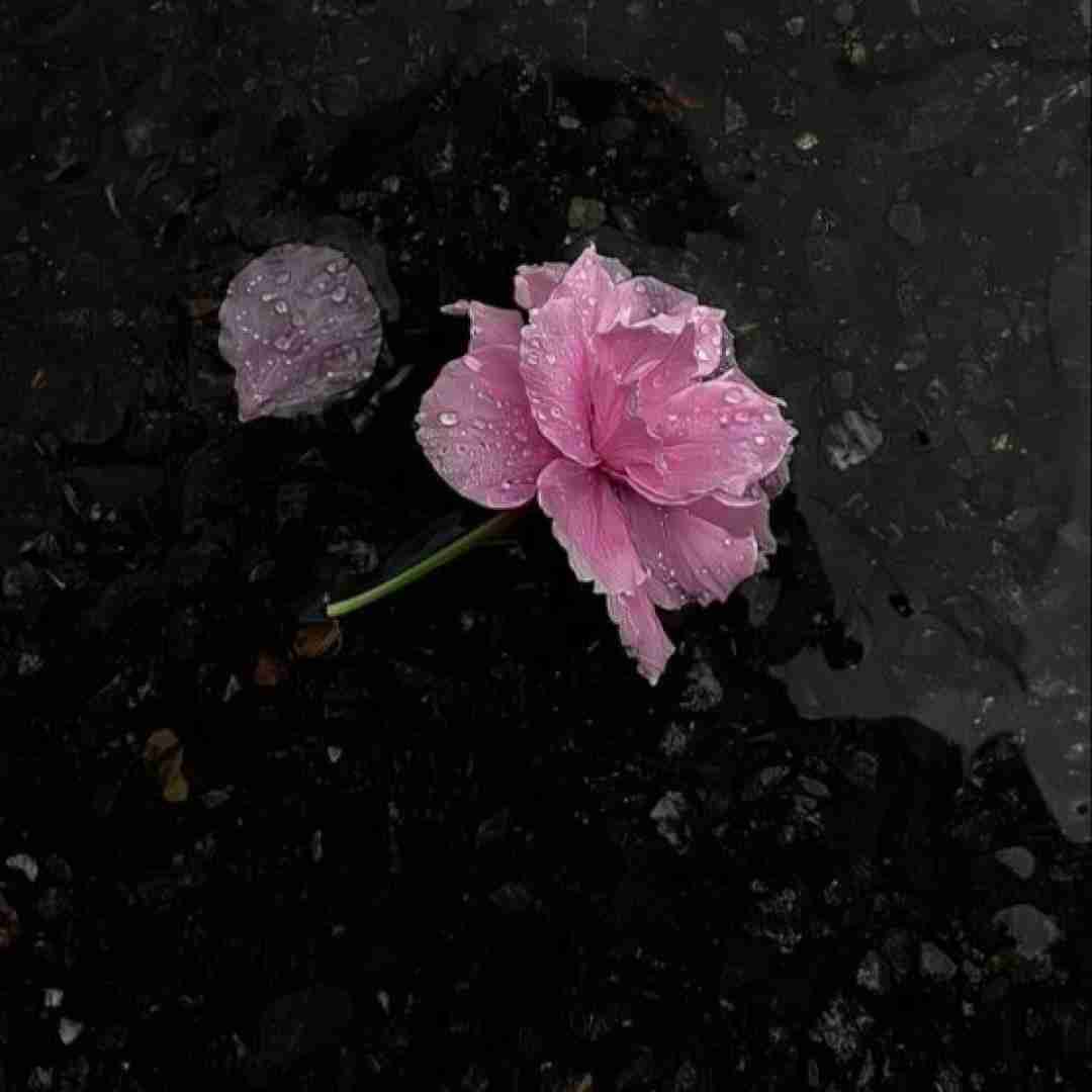 دانلود آهنگ دیوونه تر از منه معلومه از اون چشاش