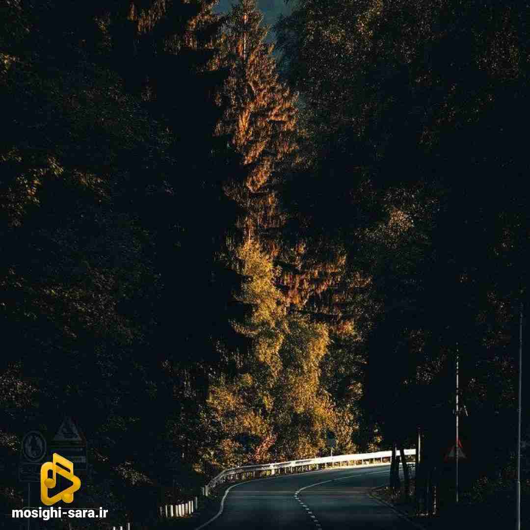  من که میدونم یکی هست چرا اصرار