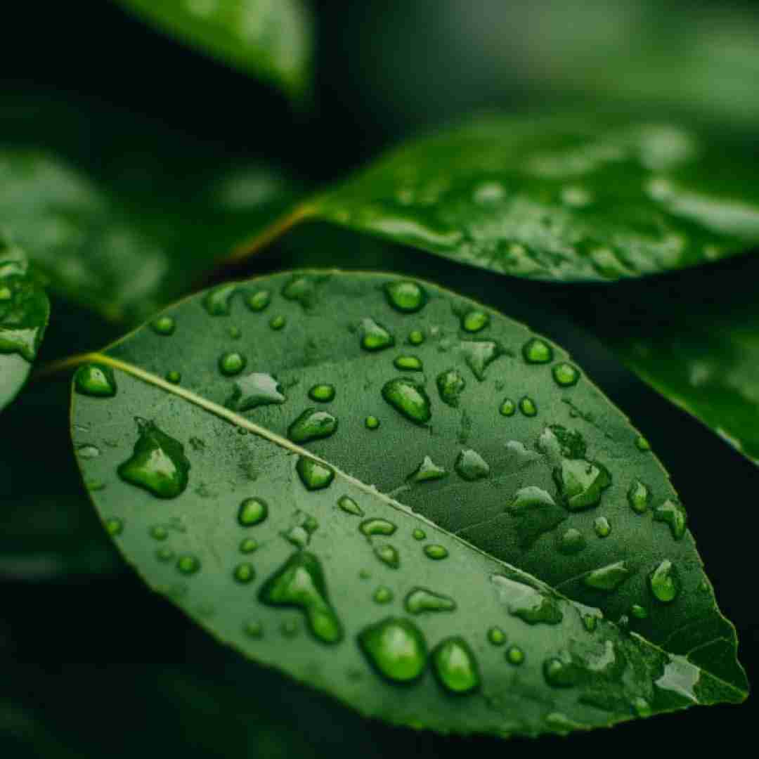 دانلود ریمیکس من هیچوقت نفهمیدم چش شد آخر