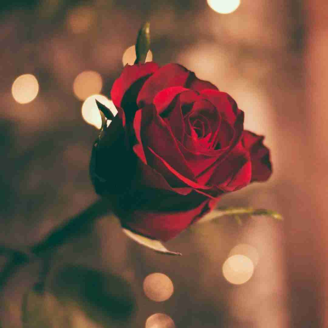 دانلود آهنگ نفیر ربنای غم اذان وقت انزوا نمازهای وحشت