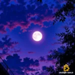 تو همونی که تو لولت نبود با هر کی بشینی