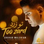 تو زرد شهاب ملکیان