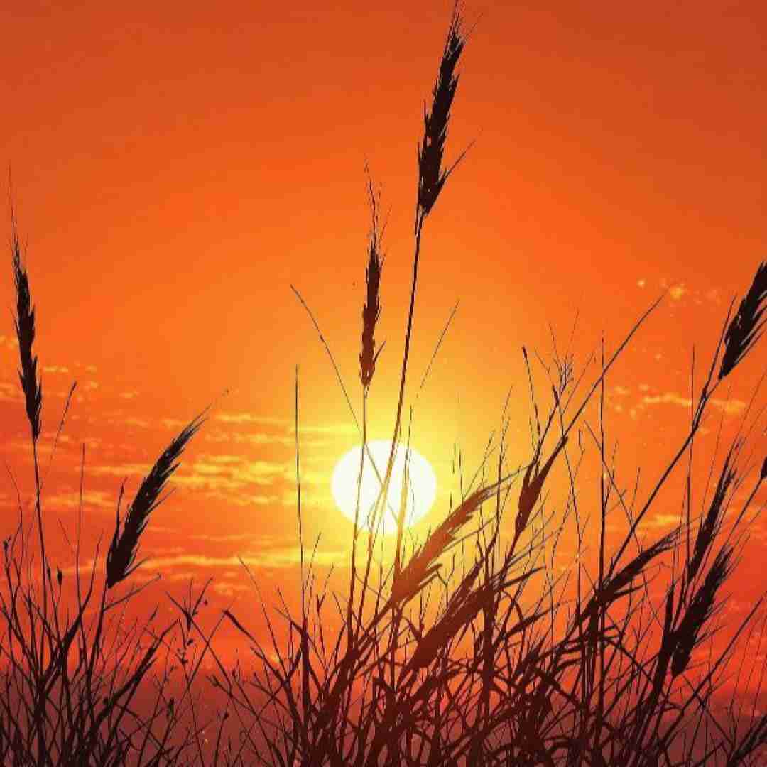  یادمم نرفت هیچیش بگو هنوز توام