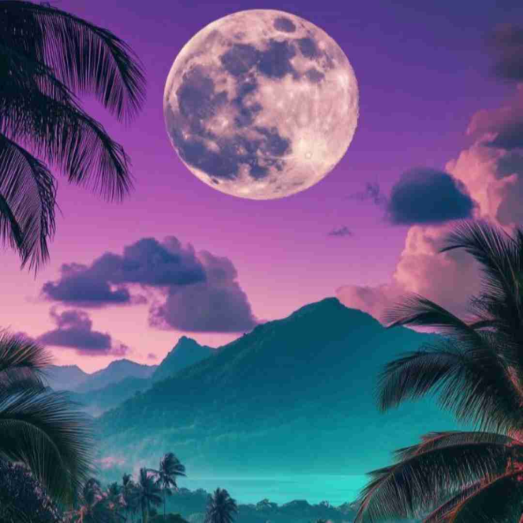  بچگیام آرزوم بود دوازده شب بخوابم
