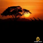 لالا کاکایی گلم لالا بخو خاش تو جان دل با صدای زن