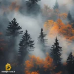 دلش خونه غریبا شده من میدونم که دیگه با صدای دختر