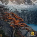 حال نمیده هوا یه نفره یه روز جای توهم